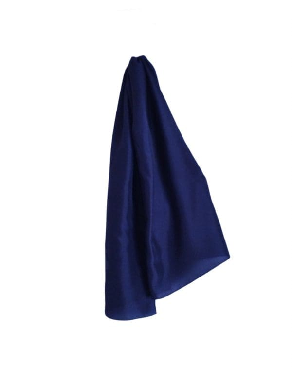 Silk stole dark blue Composition: Silk 100% Color: Dark Blue Dimensions: 0,55* 1,80 Care: Dry Clean